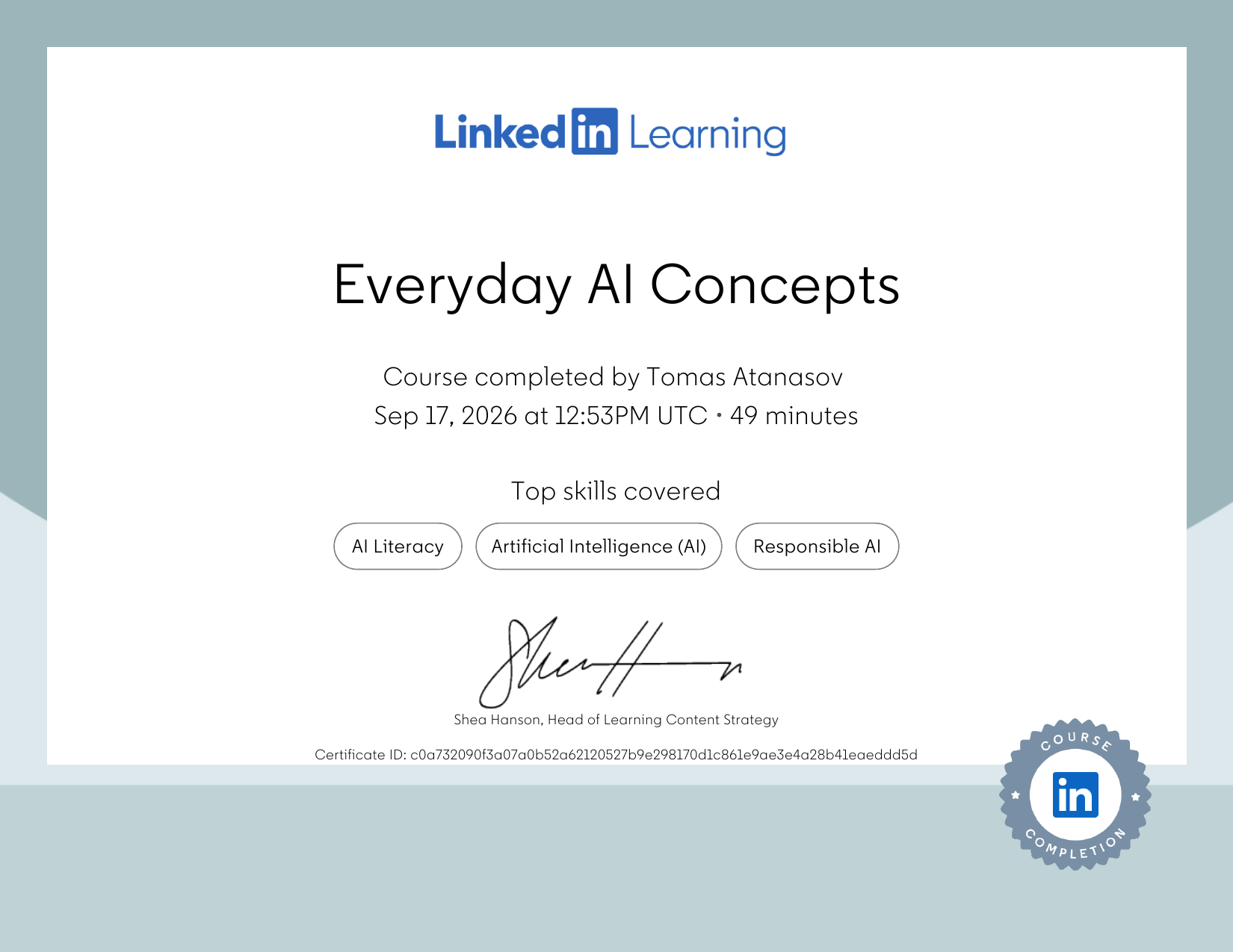 Everyday AI Concepts